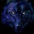 Wolf_xxx's Avatar